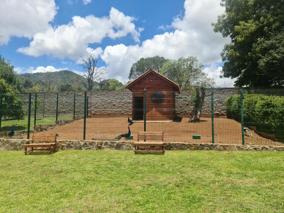 Finca Los Angeles Hospederia & Sociales Huasca de Ocampo Ngoại thất bức ảnh