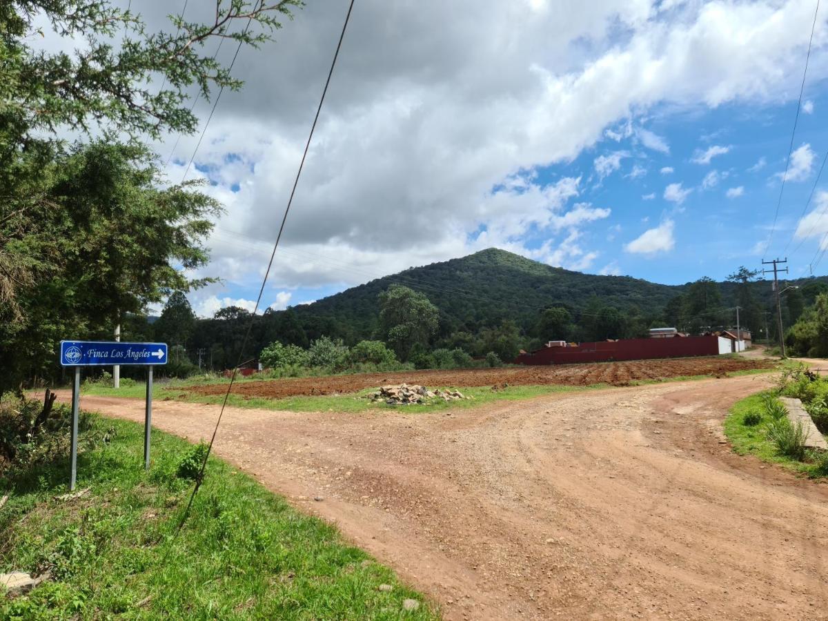 Finca Los Angeles Hospederia & Sociales Huasca de Ocampo Ngoại thất bức ảnh