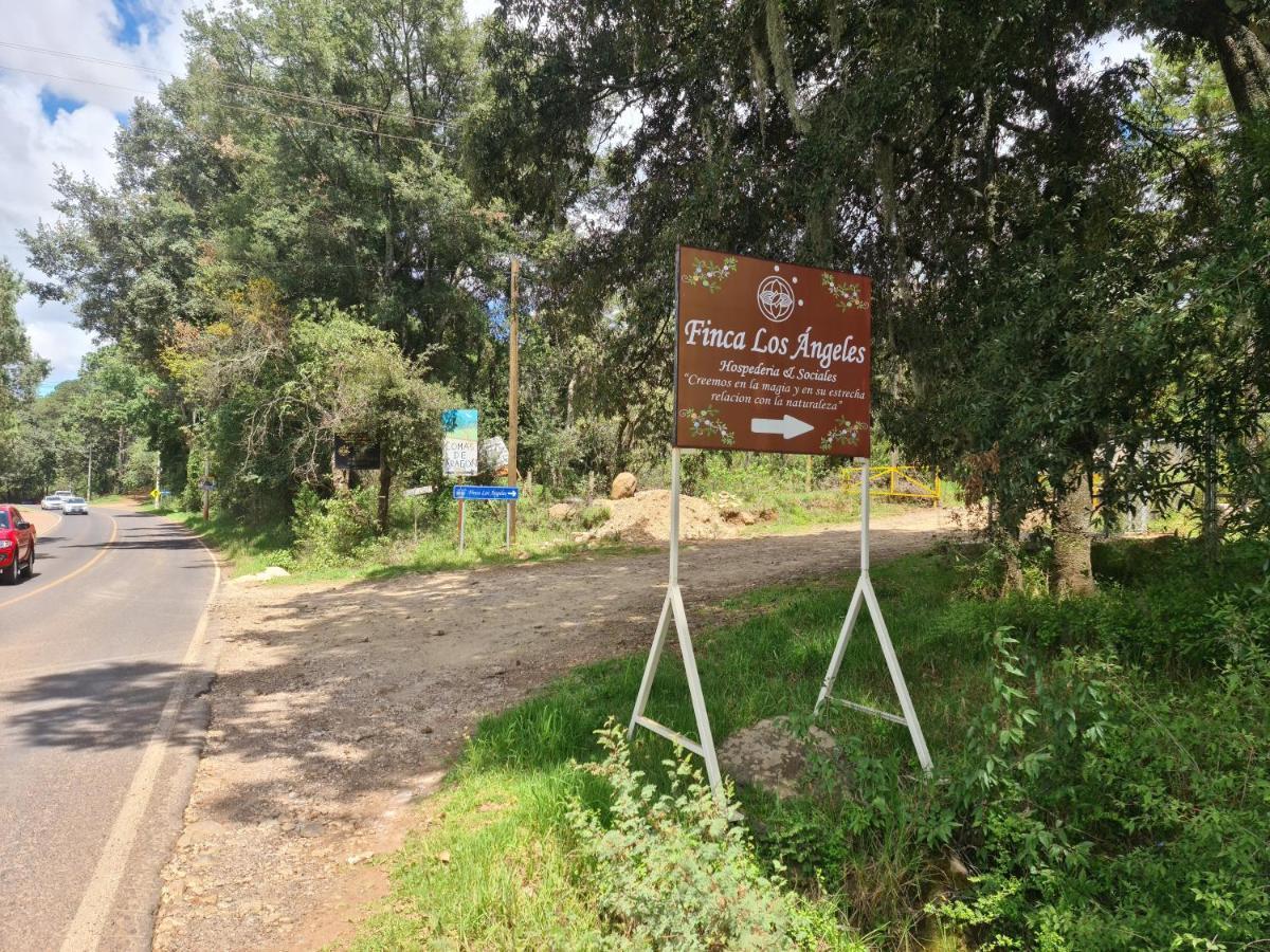 Finca Los Angeles Hospederia & Sociales Huasca de Ocampo Ngoại thất bức ảnh
