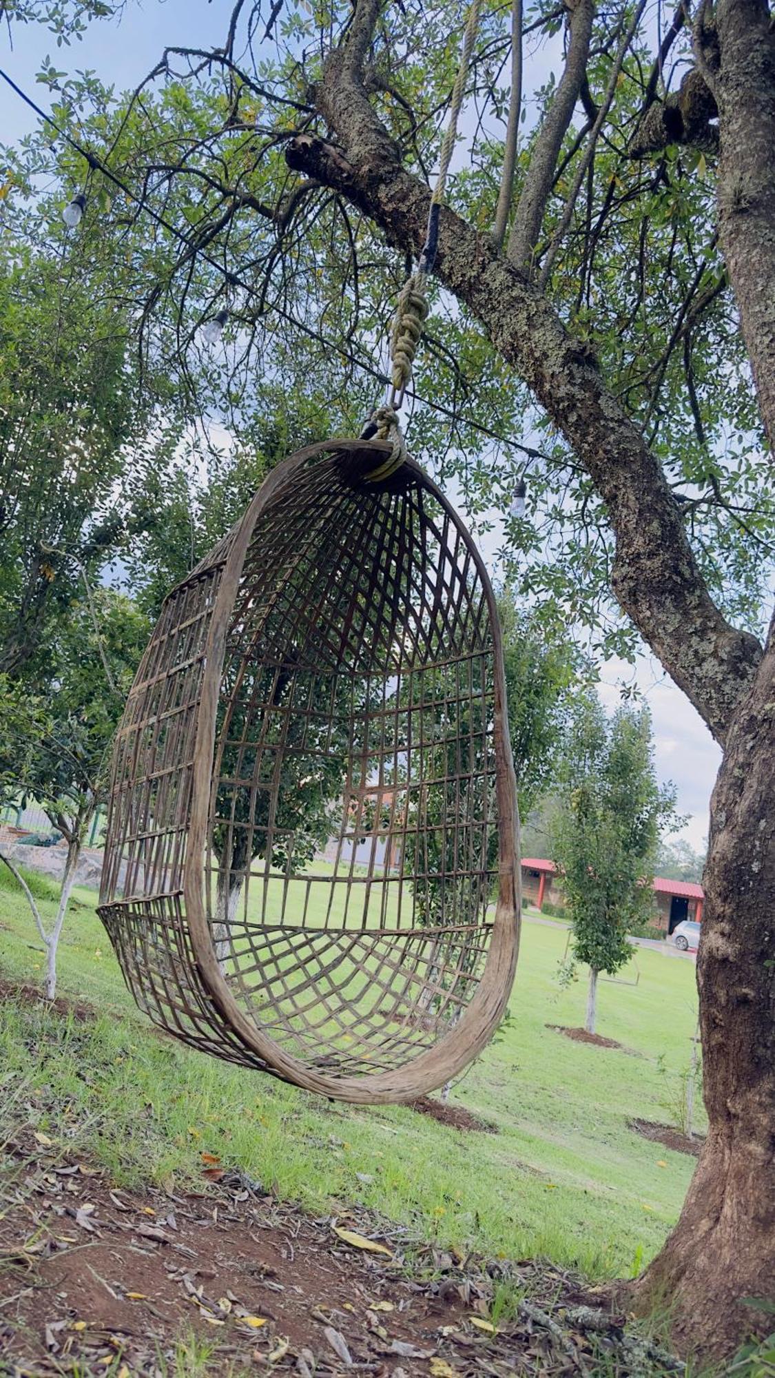 Finca Los Angeles Hospederia & Sociales Huasca de Ocampo Ngoại thất bức ảnh