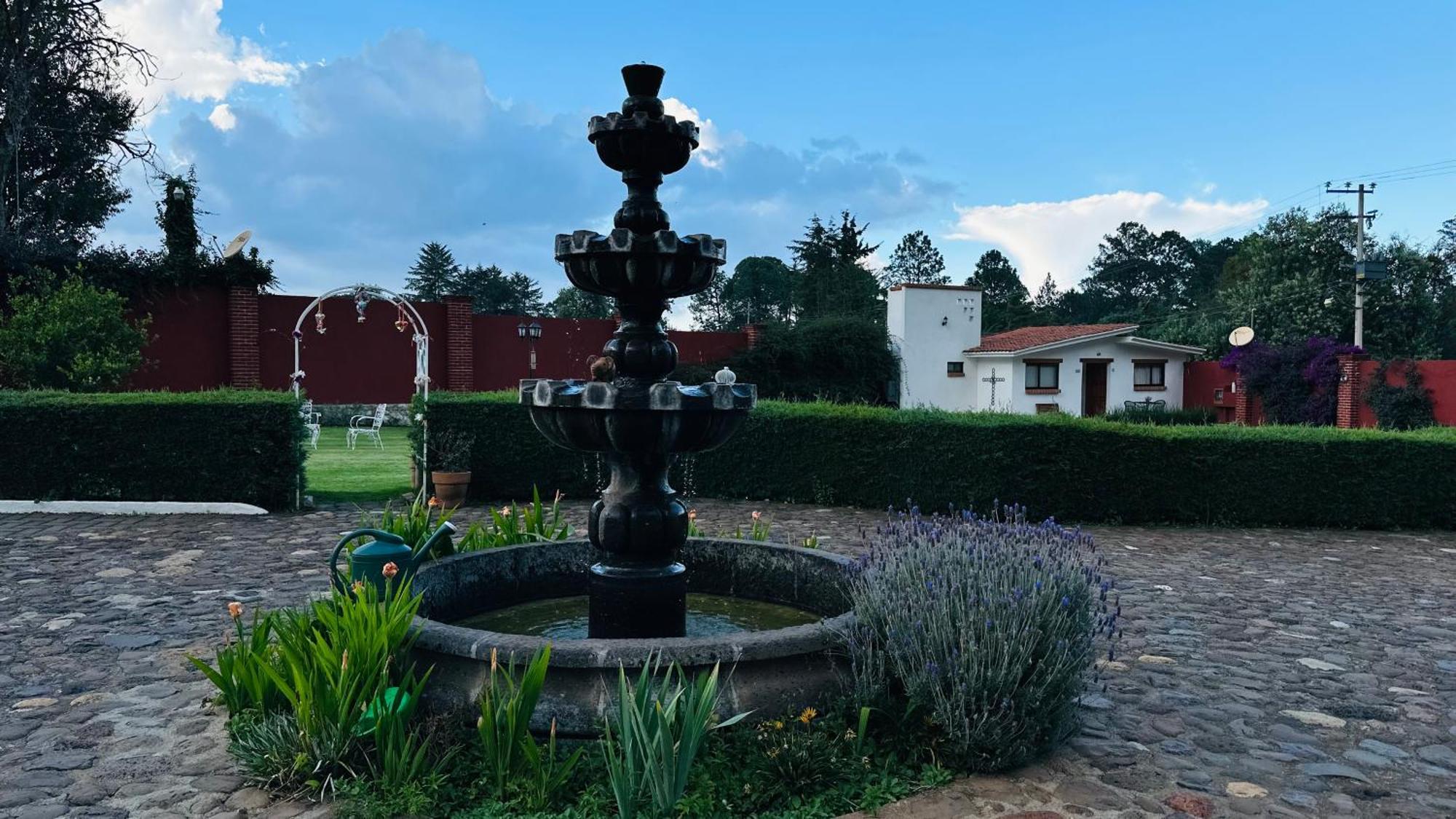 Finca Los Angeles Hospederia & Sociales Huasca de Ocampo Ngoại thất bức ảnh
